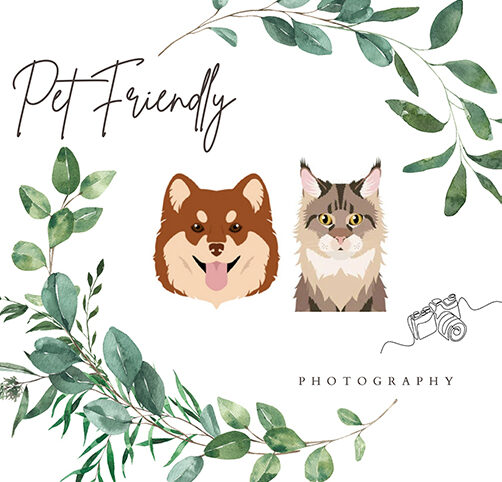 Pet Friendly Photography