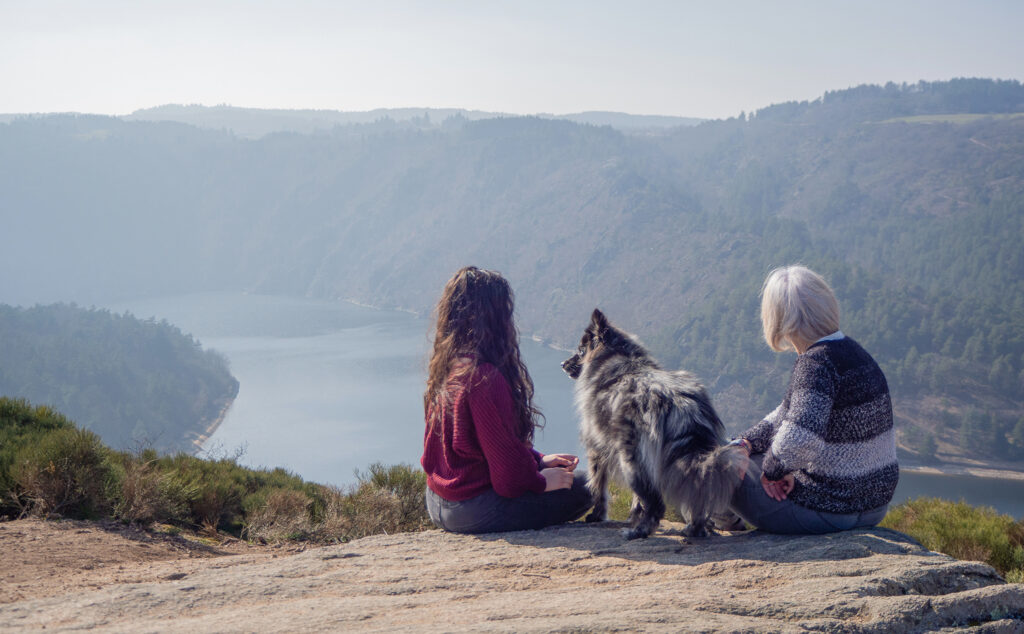 Photographe canin dans la Loire, Villars 42