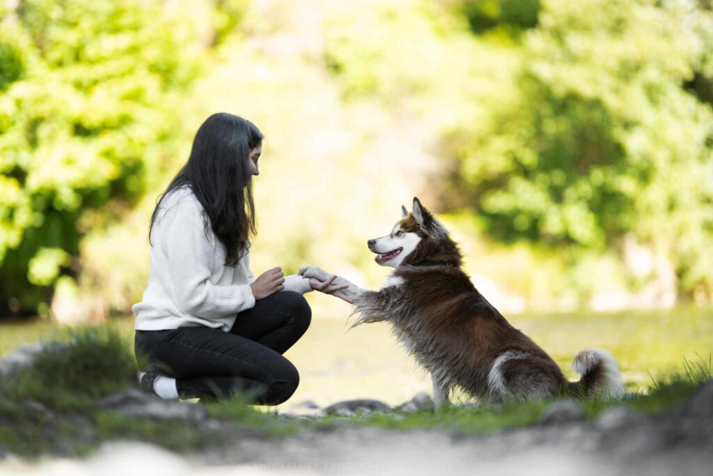 Photographe canin dans la Loire Villars 42