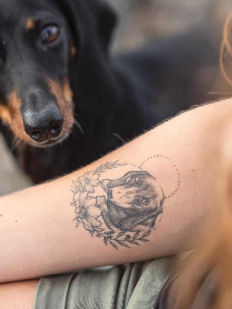 Photographe canin dans la loire, villars 42 Saint étienne
