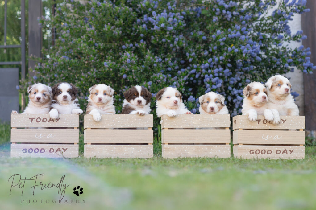 Séance photo pour les éleveurs