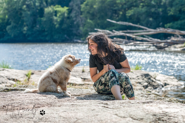 Relation Homme et Animaux de compagnies